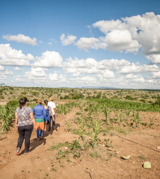 Captura de Tela 2024-07-23 às 08.44.52